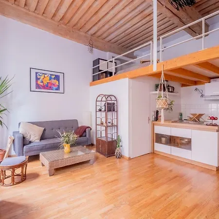 New! Very Nice Studio In The Center - Croix Rousse Appartement *